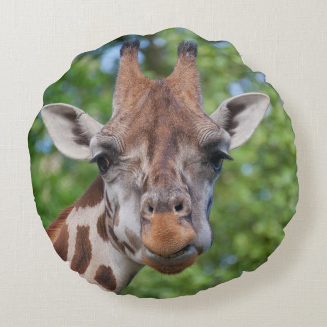 Sweet Curios Giraffe Round Cushion (Back)