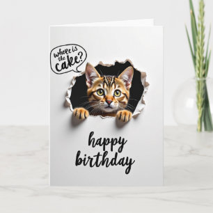 Sweet Curious Cat Card