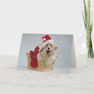 Sweet Customisable Pet Themed Xmas Gifts/Cards Holiday Card