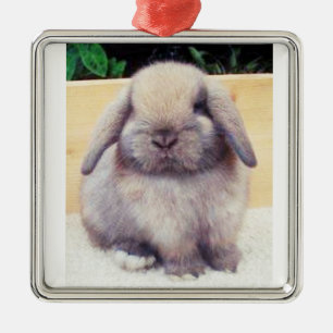 ****SWEET/CUTE BUNNY**** ORNAMENT