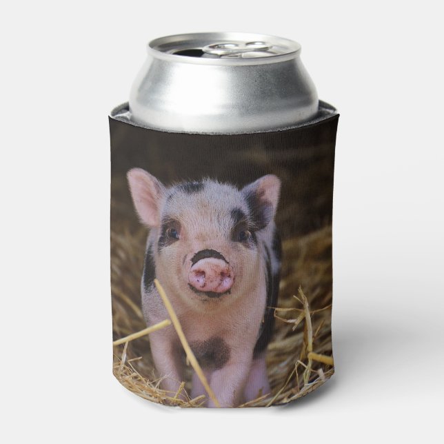 Sweet Cute Pig Can Cooler (Can Front)