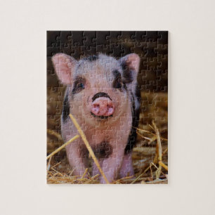 Sweet Cute Pig Jigsaw Puzzle