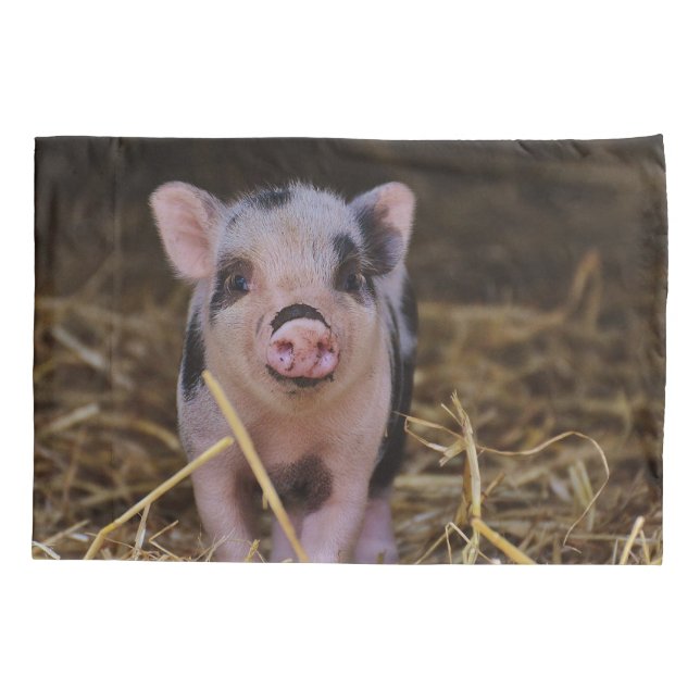 Sweet Cute Pig Pillowcase (Back)