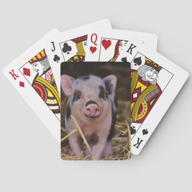 Sweet Cute Pig Playing Cards (Back)