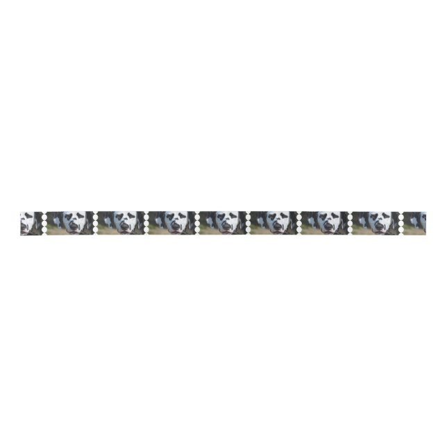 Sweet Dalmatian Pup Satin Ribbon (Front)