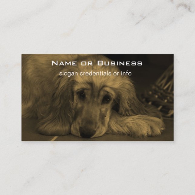 Sweet Dog - Golden Retriever in Sepia Tones Business Card (Front)