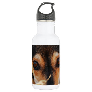 Sweet dog laying in hay 532 ml water bottle