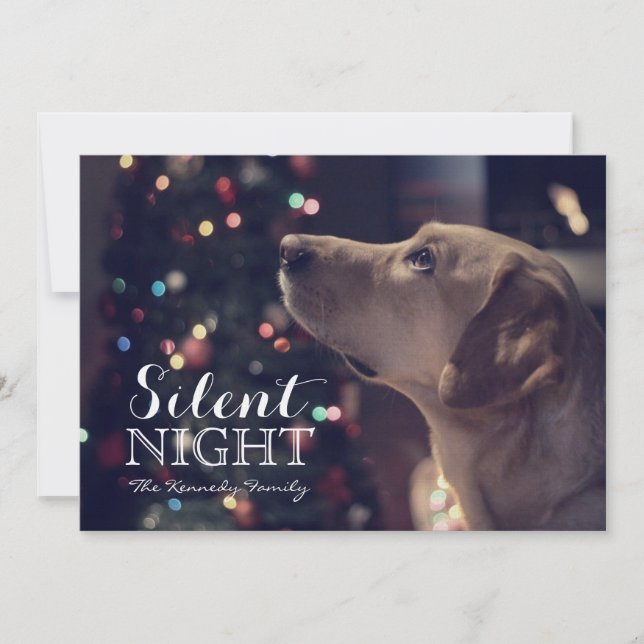 Sweet Doggie Looking At Tree (Front)