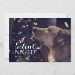 Sweet Doggie Looking At Tree