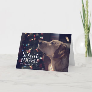 Sweet Doggie Looking At Tree Holiday Card