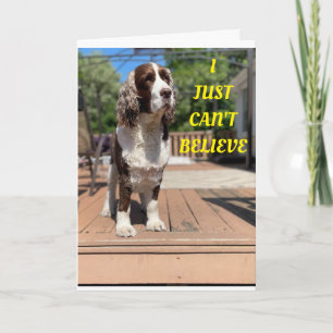 SWEET DOGS SAYS HAPPY 50th BIRTHDAY! Card