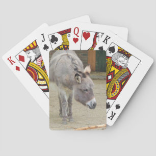 Sweet Donkey, Animal Grey, Horse Family Playing Cards