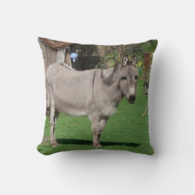 Sweet Donkey In The Garden Cushion (Front)