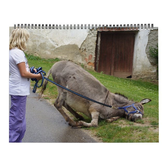 Sweet Donkeys All Year 2025 Calendar (Cover)