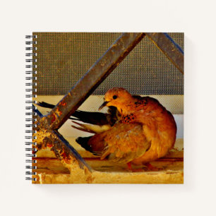 Sweet Dove Notebook