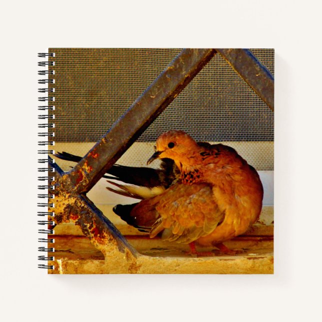 Sweet Dove Notebook (Front)