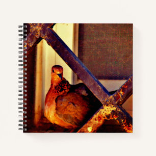 Sweet Dove Notebook