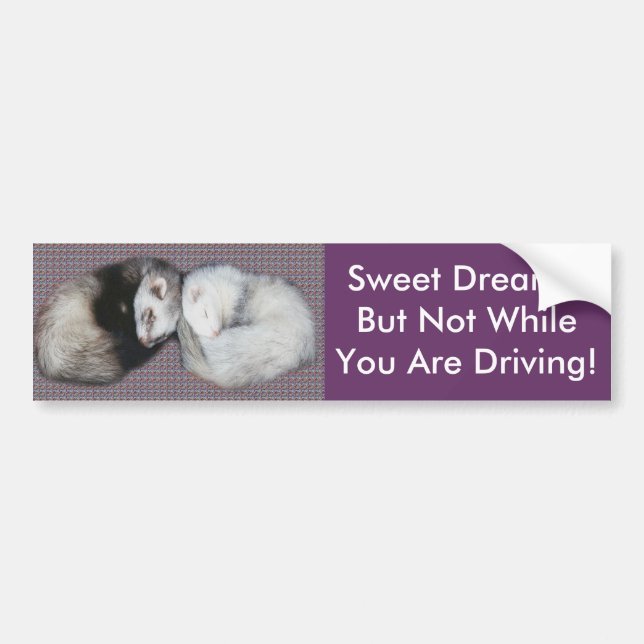 Sweet Dreams Ferrets Bumper Sticker (Front)