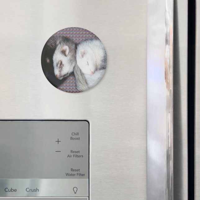 Sweet Dreams Ferrets Magnet (In Situ (Fridge))