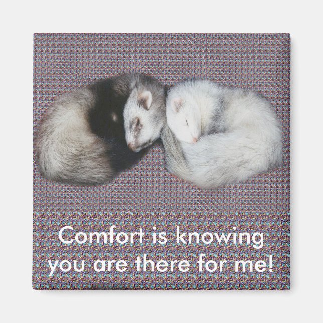 Sweet Dreams Ferrets Magnet (Front)