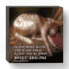 Sweet Dreams Paw Prints