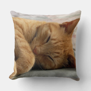 Sweet Dreams Pillow