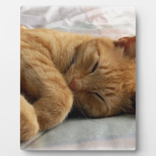 Sweet Dreams Plaque