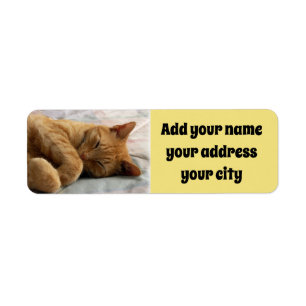 Sweet Dreams Return Address Label
