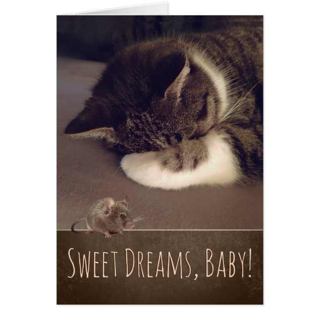 Sweet Dreams Sleeping Kitty (Text customisable) (Front)