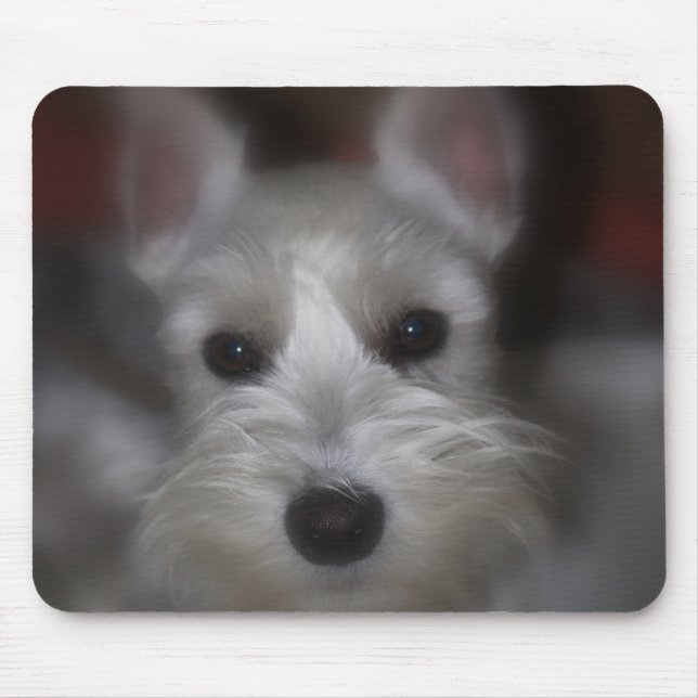 Sweet Face White Schnauzer Puppy Mouse Pad (Front)