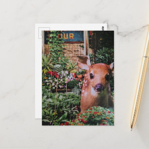 Sweet Fawn in the Garden Collage Postcard