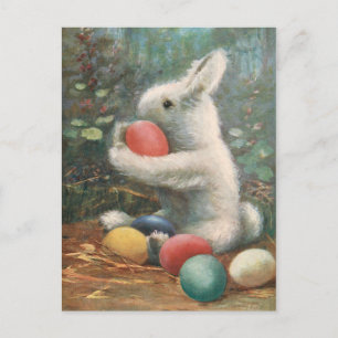 Sweet Fluffy Vintage Easter Bunny and Dyed Eggs Postcard