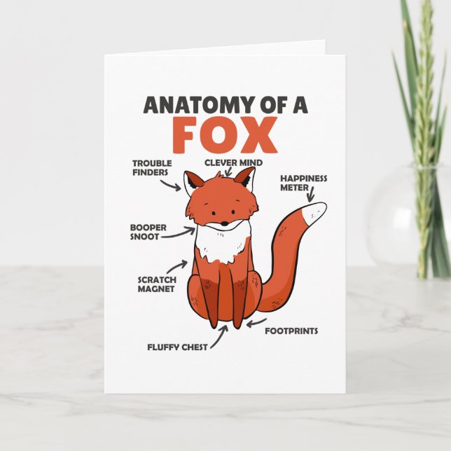 Sweet Fox Explanation Anatomy Of Fox Card (Front)