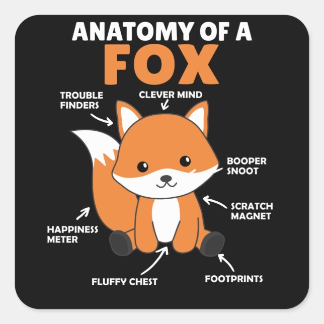 Sweet Fox Explanation Anatomy Of Fox Square Sticker (Front)