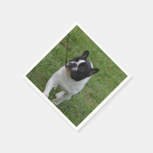 Sweet French Bulldog Napkin