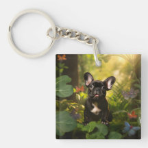 🐶💗Sweet Frenchie puppy in a jungle