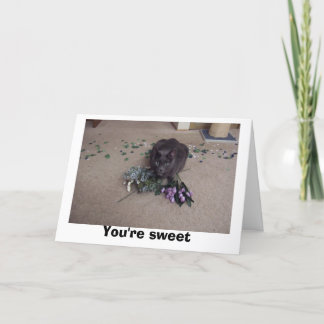 Sweet Friend Thank You Card