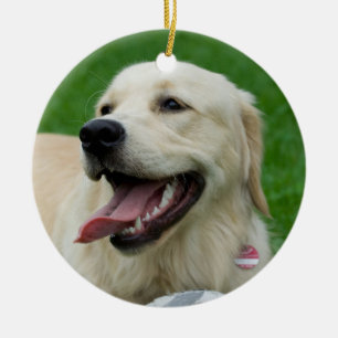 Sweet Friendly Labrador Ceramic Tree Decoration