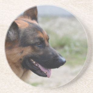 Sweet German Shepherd Dog Coaster