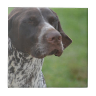 Sweet German Shorthaired Pointer Ceramic Tile