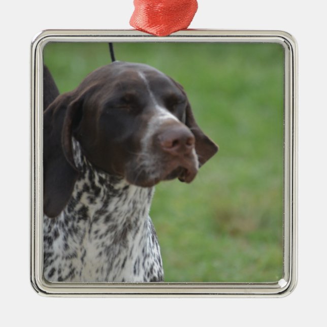 Sweet German Shorthaired Pointer Metal Ornament (Front)