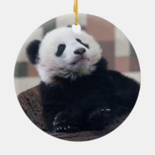 Sweet Giant Panda Baby Ceramic Ornament
