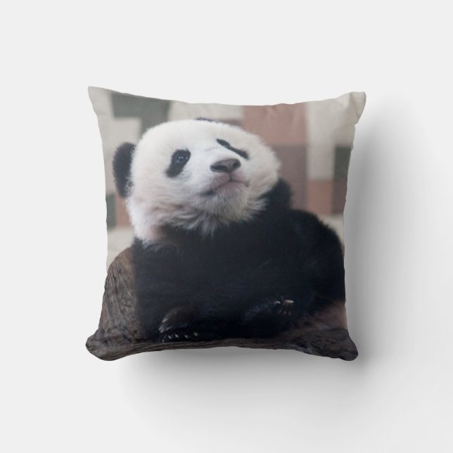 Sweet Giant Panda Baby Cushion (Front)