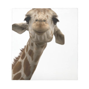 Sweet Giraffe Notepad