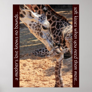 Sweet giraffes; a mother's love knows no bounds... poster