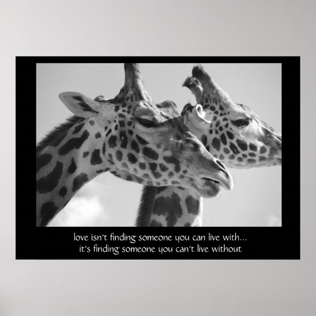 Sweet Giraffes Poster, with quote about love 28x20 Poster (Front)