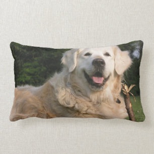 Sweet Golden Retriever Pillow