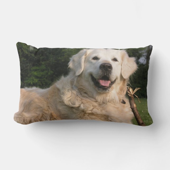 Sweet Golden Retriever Pillow (Front)
