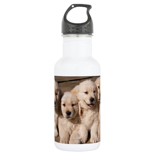 golden retriever water bottle