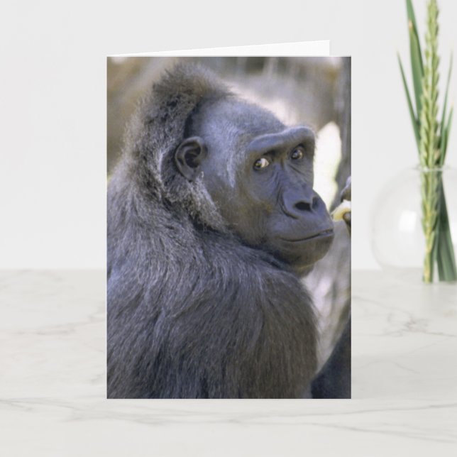 Sweet Gorilla Card (Front)